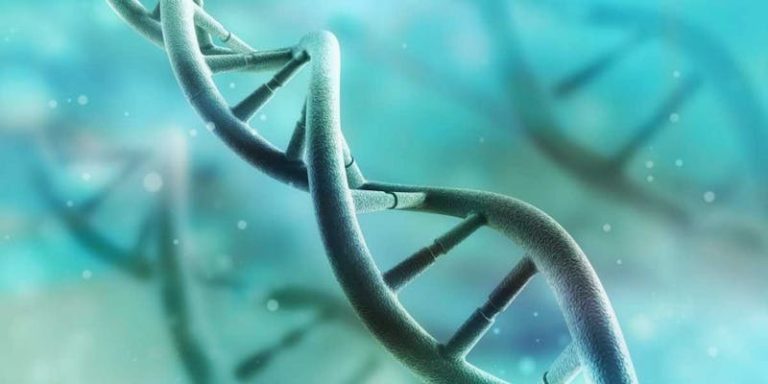 FDA Approves Direct to Consumer Genetic Predisposition Test.