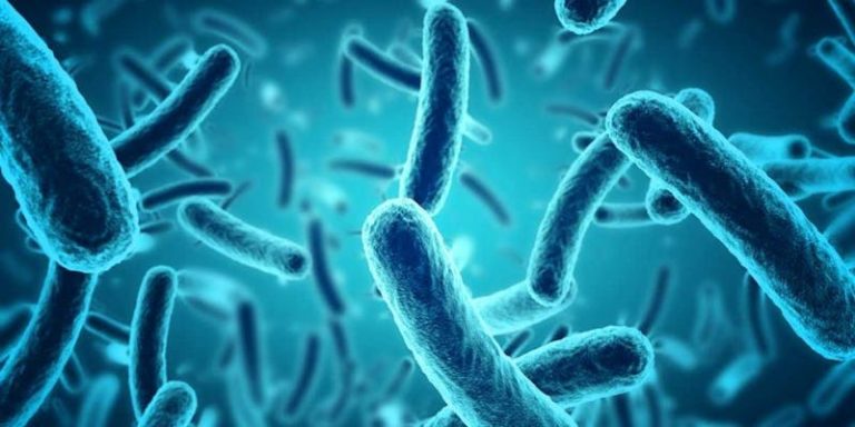 Pseudouridimycine: New natural antibiotic capable of destroying resistant bacteria