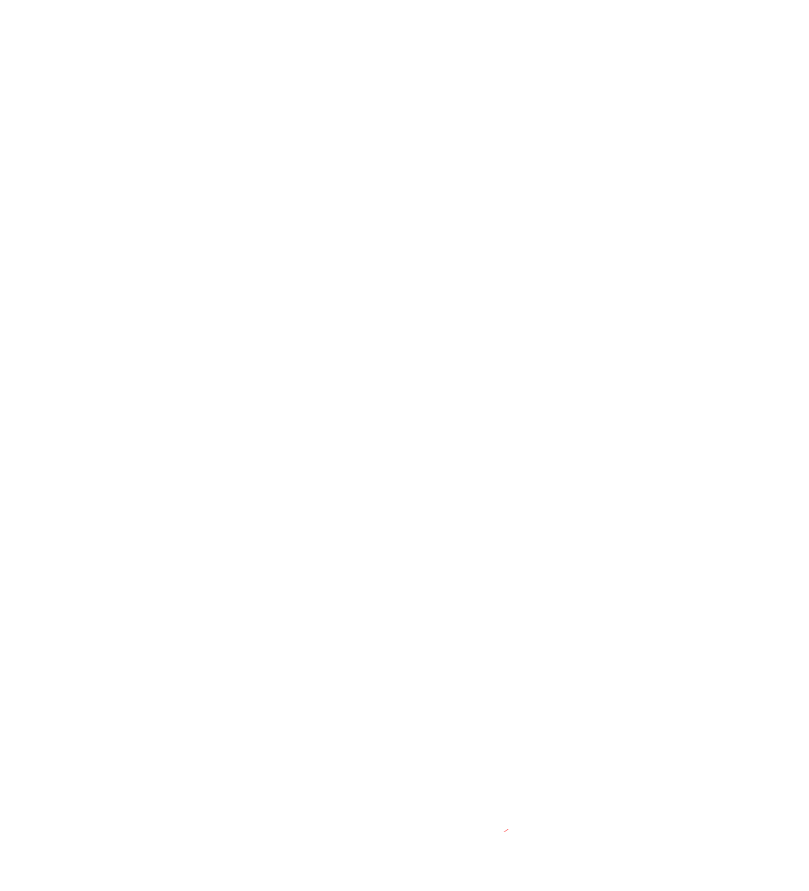 International Center of Excellence