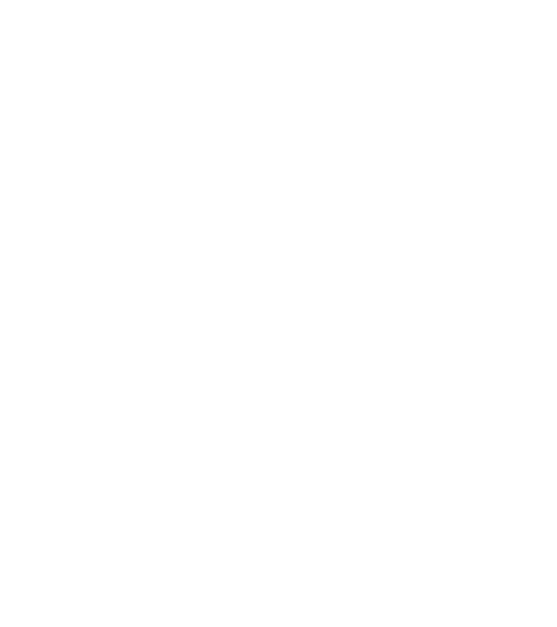 International Center of Excellence